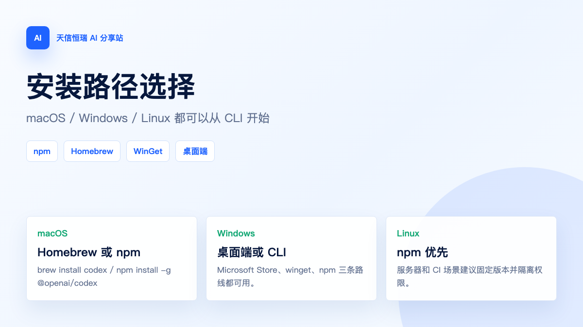 Codex 安装路径选择